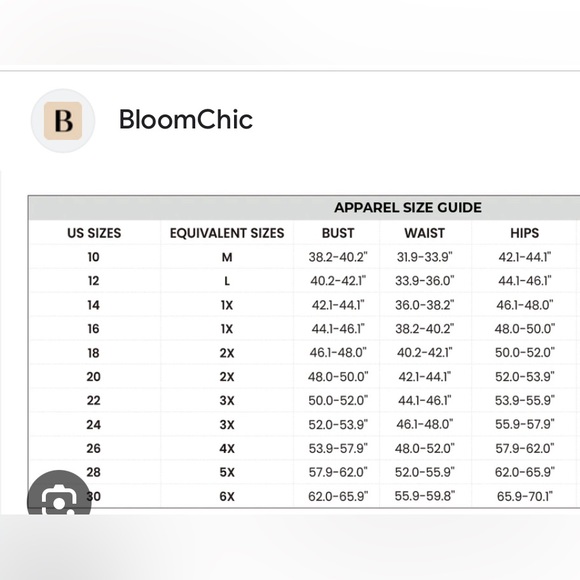 NWT: Bloomchic 14/16 mesh floral overlay dress - Picture 8 of 8